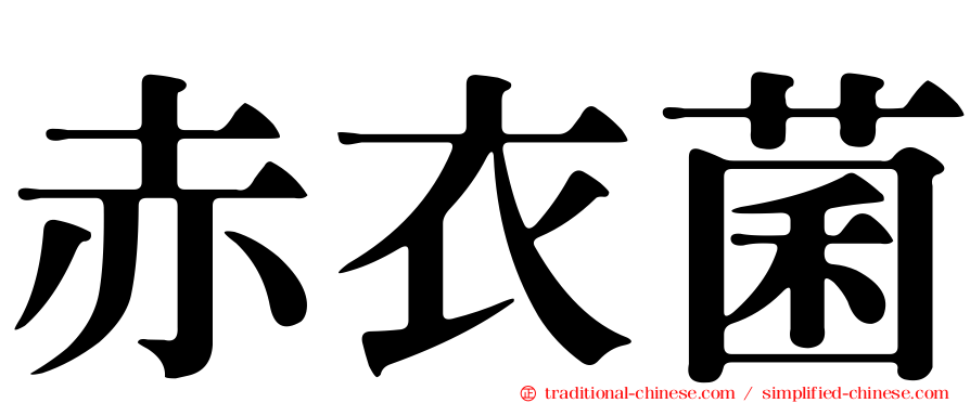 赤衣菌
