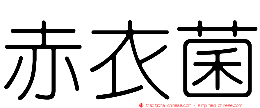 赤衣菌