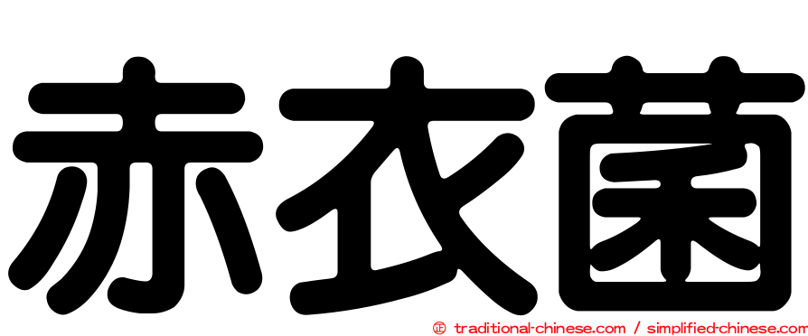 赤衣菌