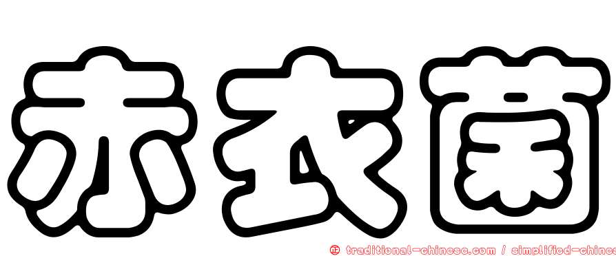 赤衣菌