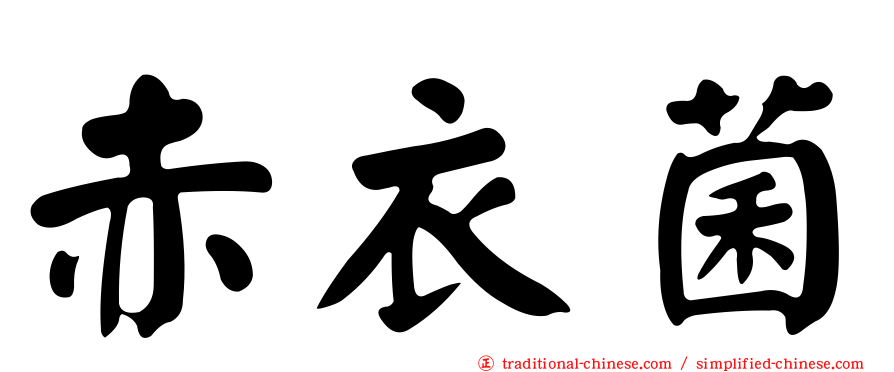 赤衣菌