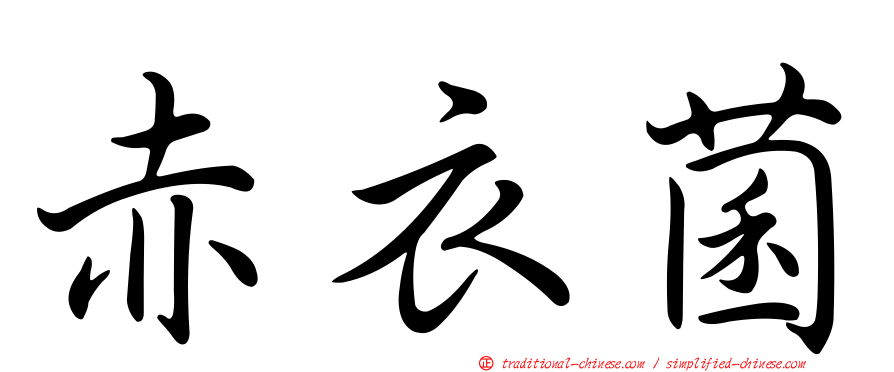 赤衣菌