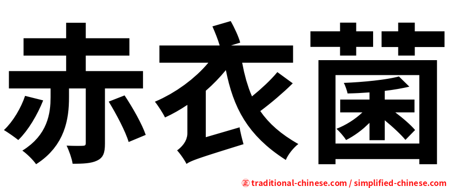 赤衣菌