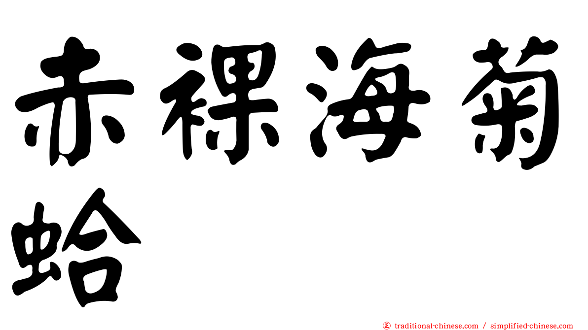 赤裸海菊蛤