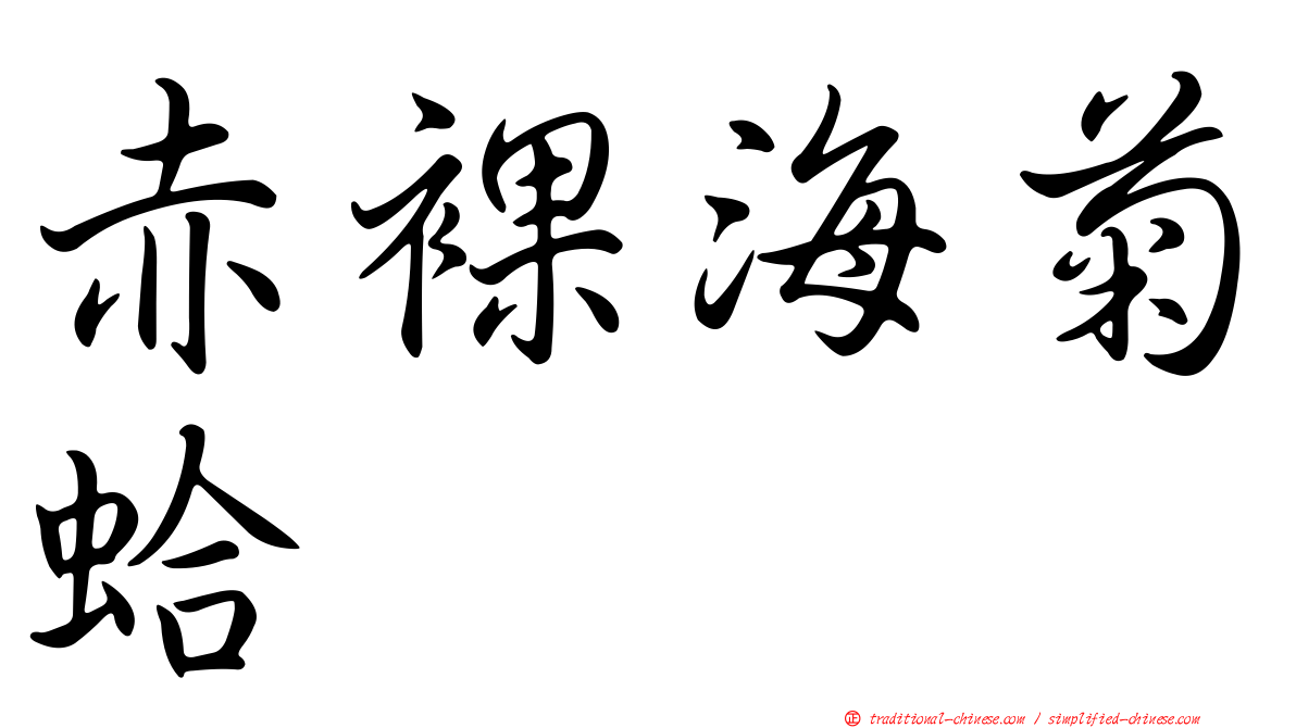 赤裸海菊蛤