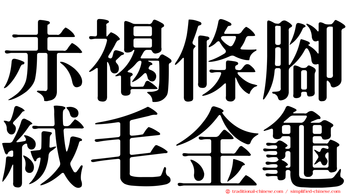 赤褐條腳絨毛金龜