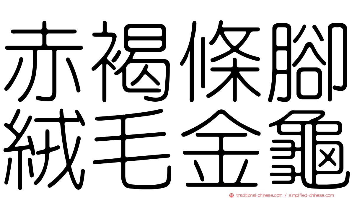 赤褐條腳絨毛金龜