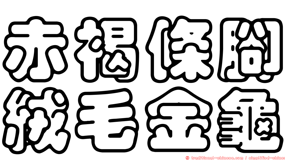 赤褐條腳絨毛金龜