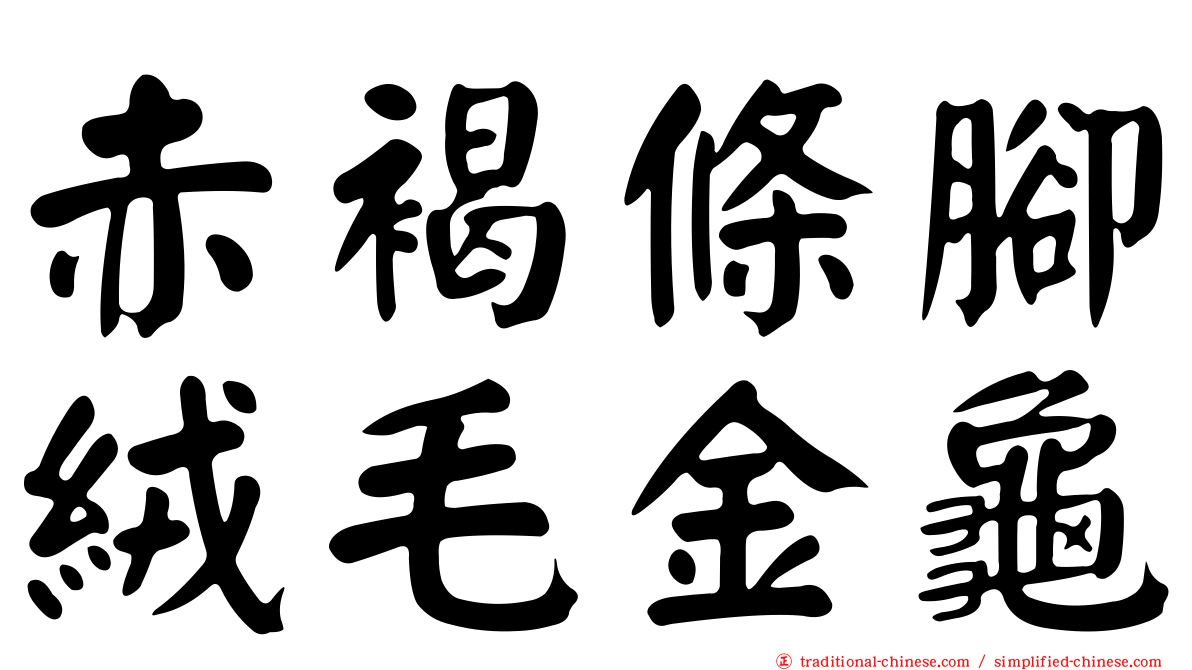 赤褐條腳絨毛金龜
