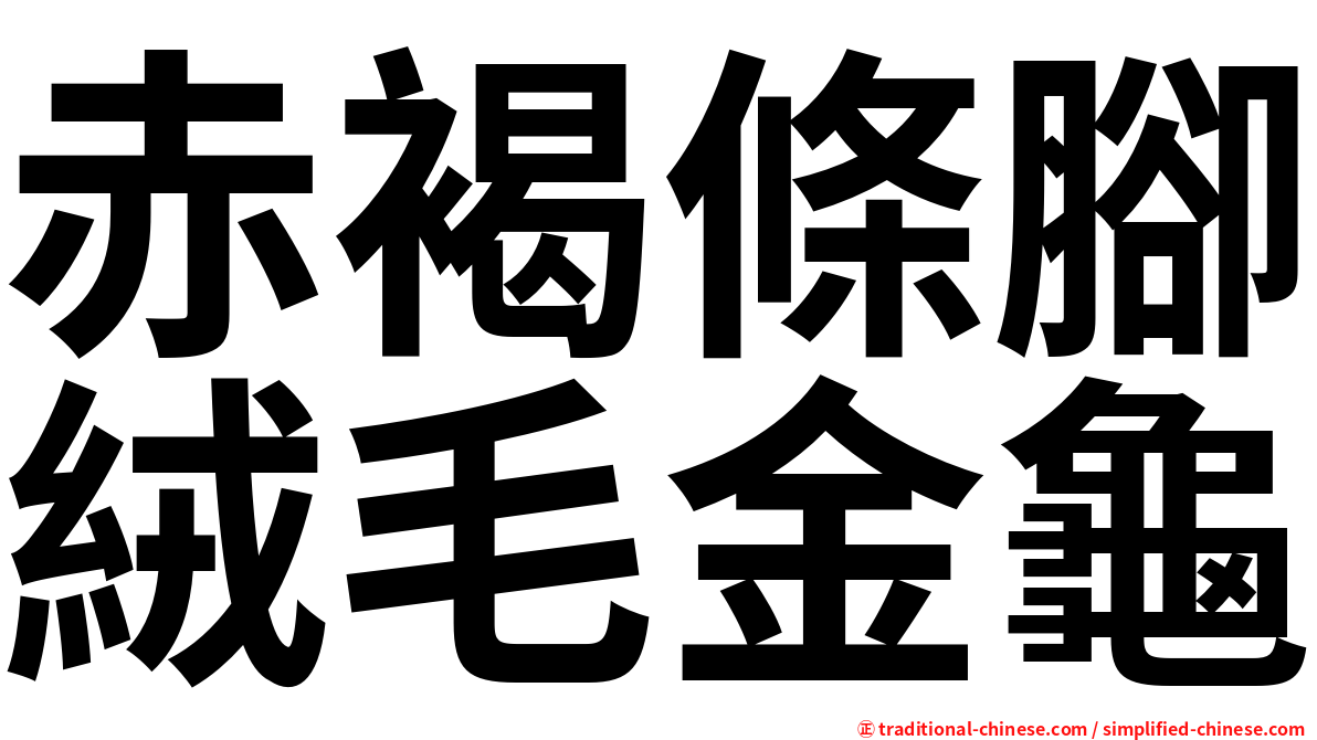 赤褐條腳絨毛金龜