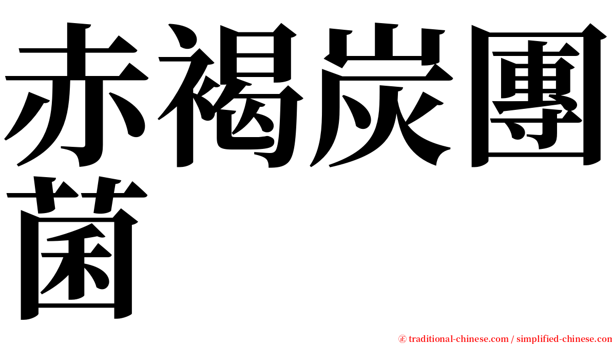 赤褐炭團菌 serif font
