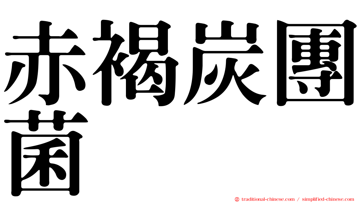 赤褐炭團菌