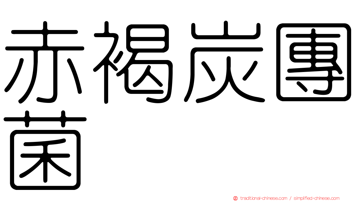 赤褐炭團菌