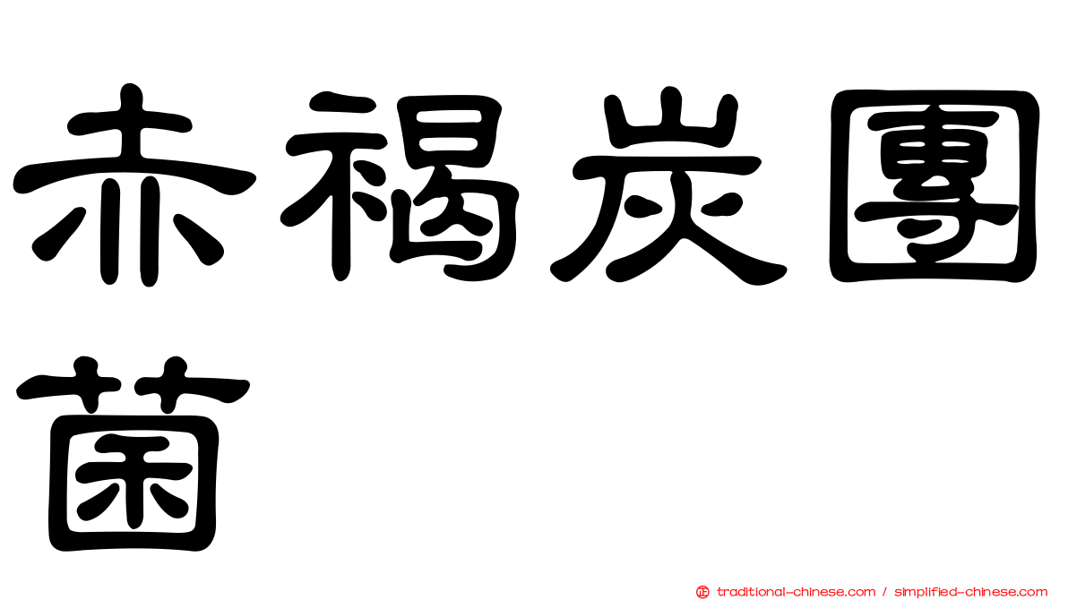 赤褐炭團菌