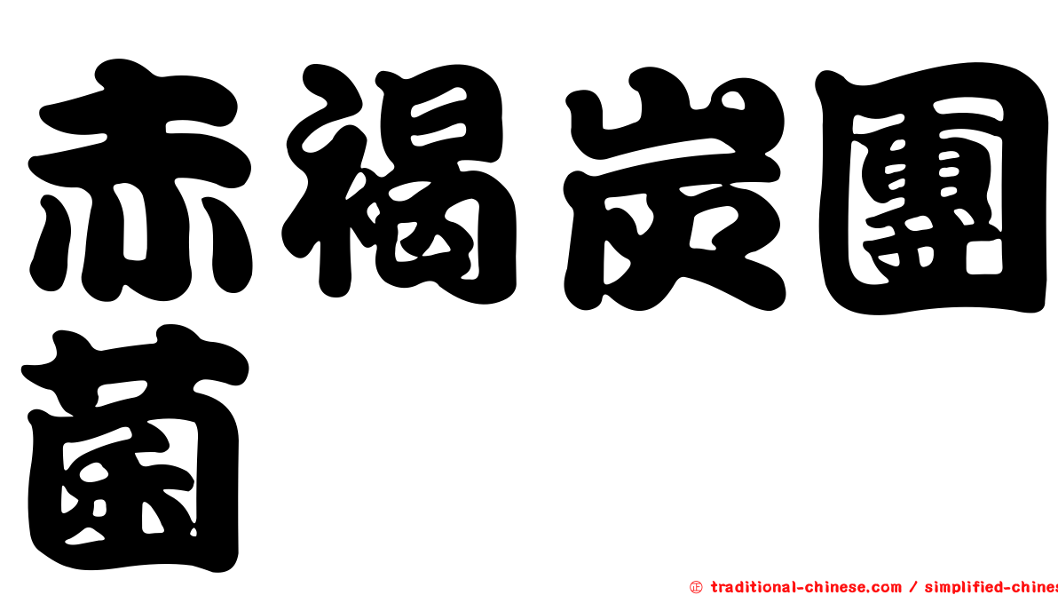 赤褐炭團菌
