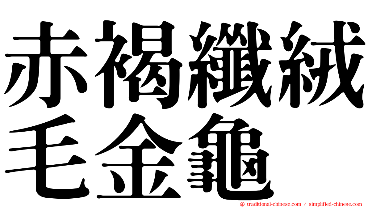 赤褐纖絨毛金龜
