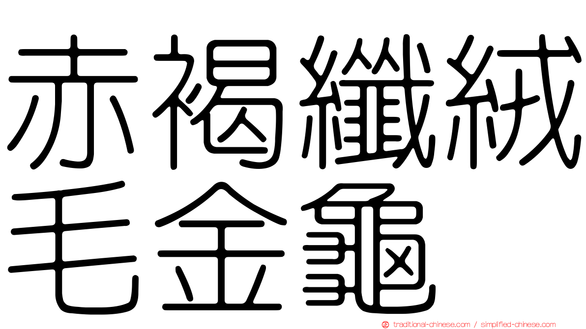 赤褐纖絨毛金龜