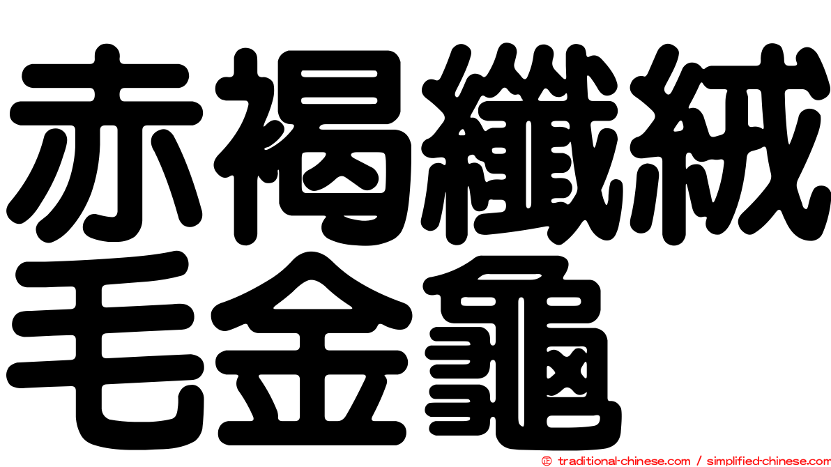 赤褐纖絨毛金龜