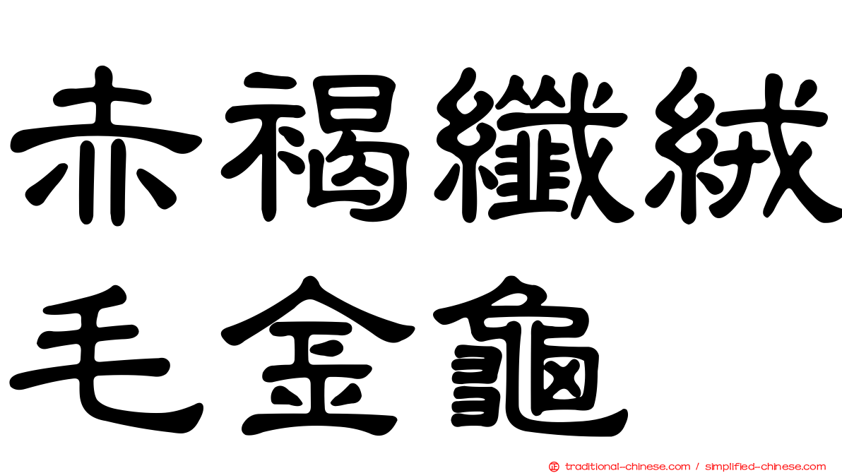 赤褐纖絨毛金龜