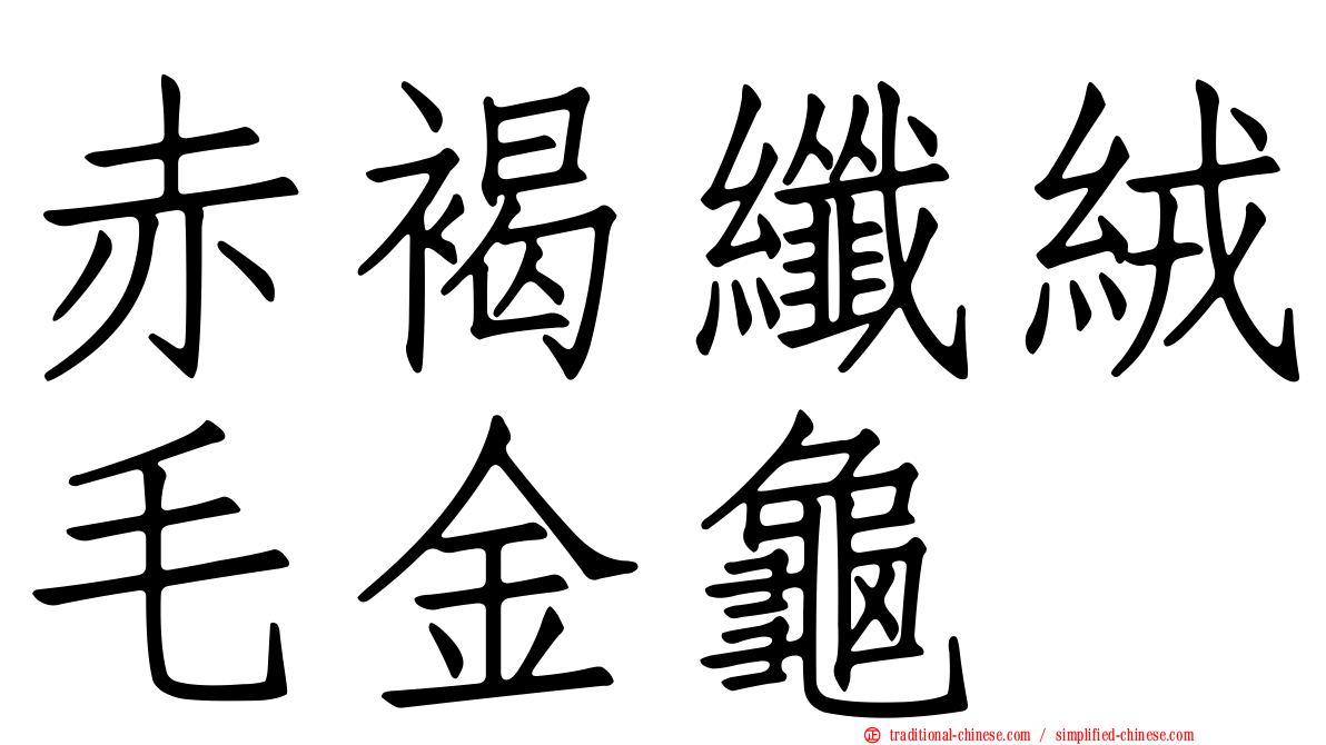 赤褐纖絨毛金龜