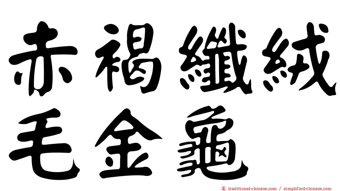 赤褐纖絨毛金龜