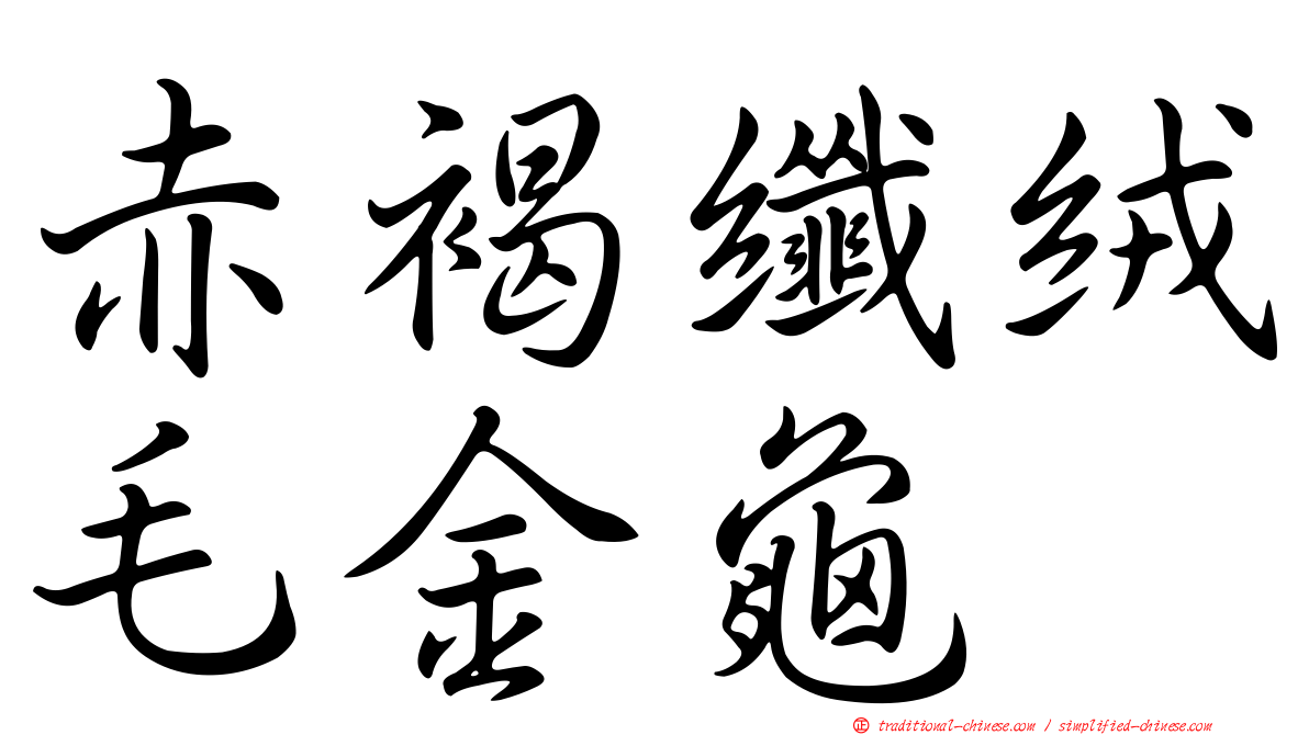 赤褐纖絨毛金龜