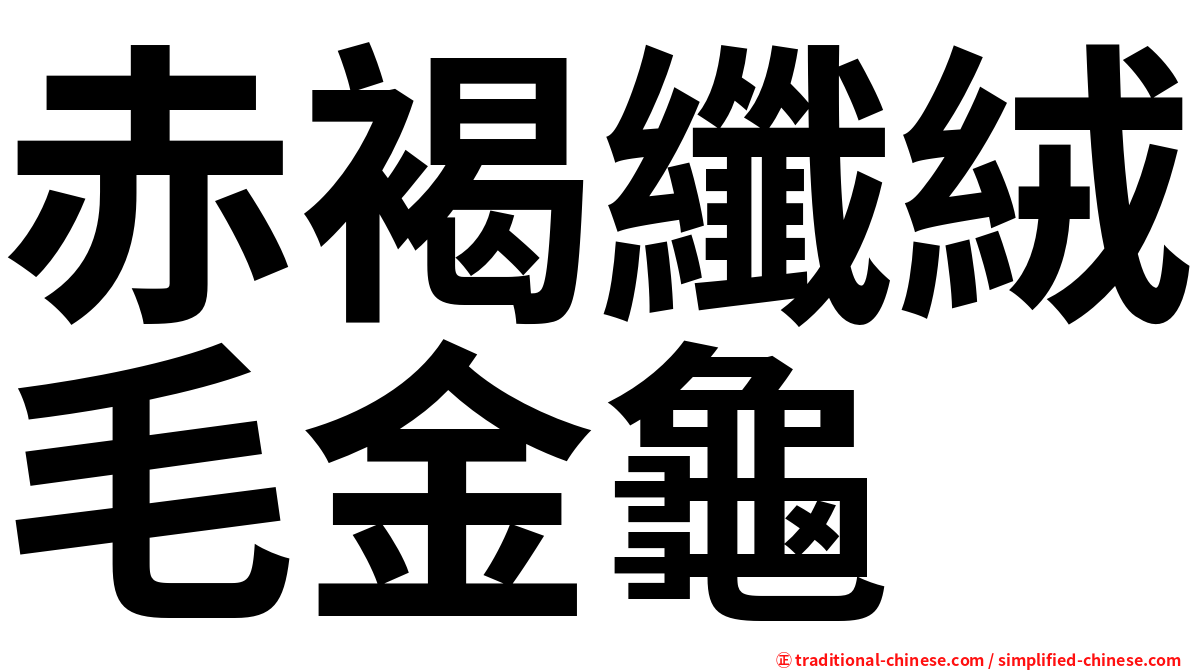 赤褐纖絨毛金龜