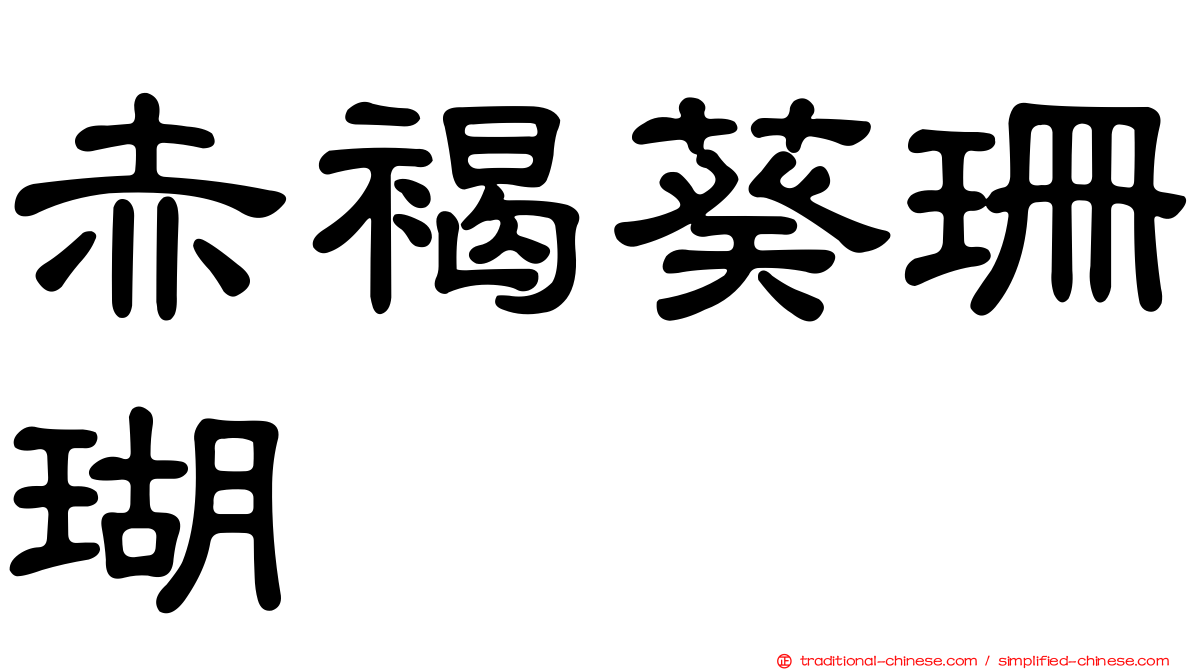 赤褐葵珊瑚