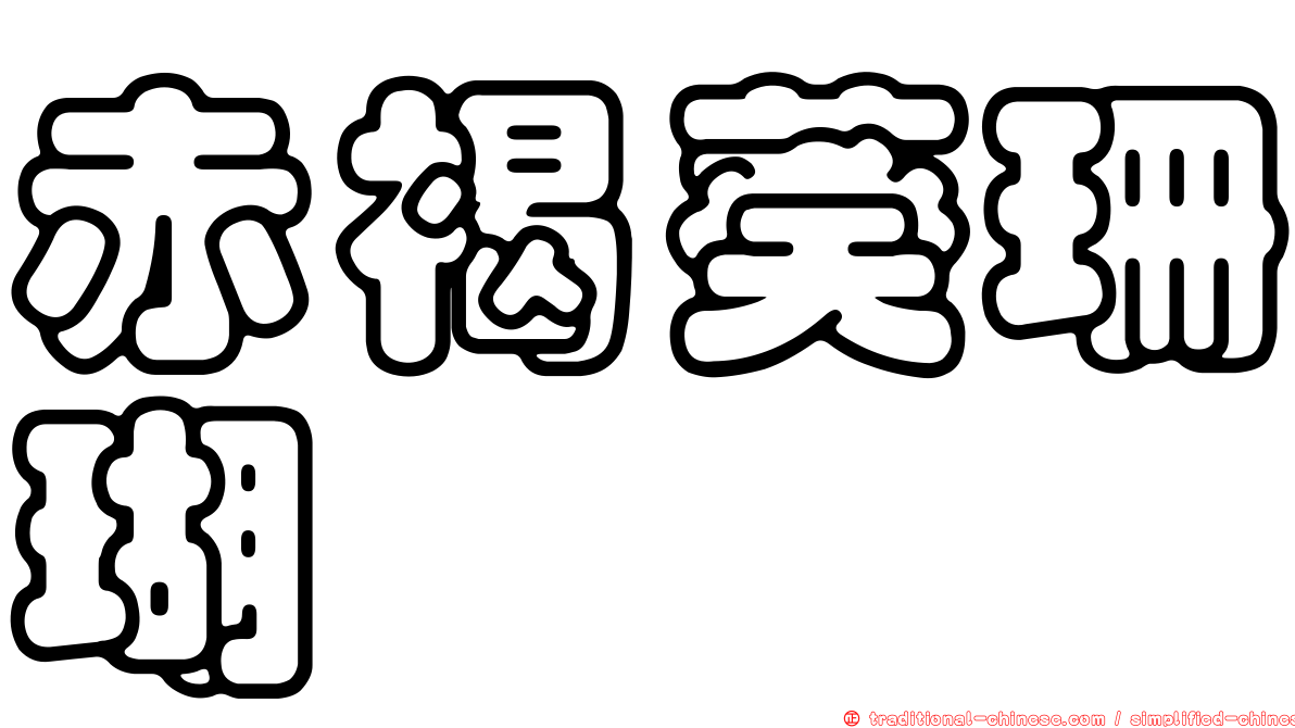 赤褐葵珊瑚