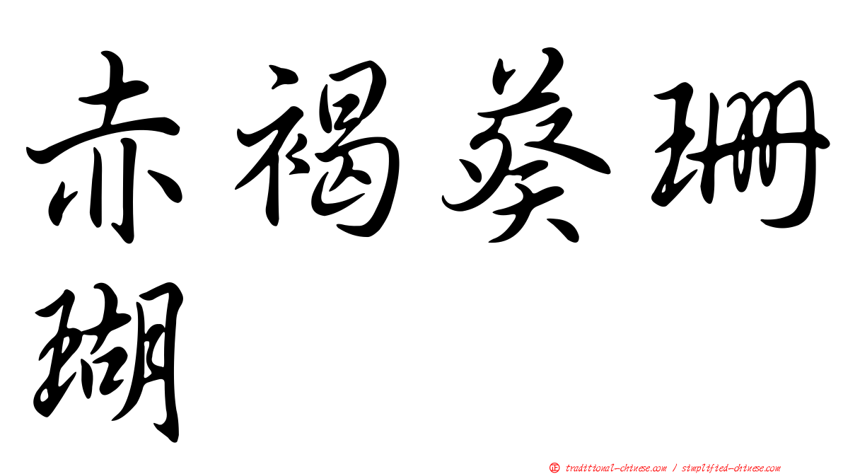 赤褐葵珊瑚