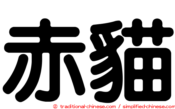 赤貓