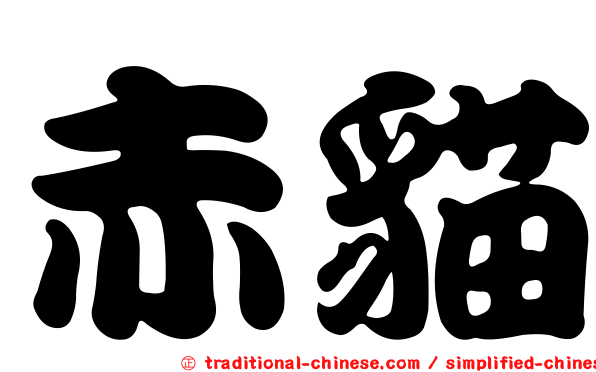 赤貓