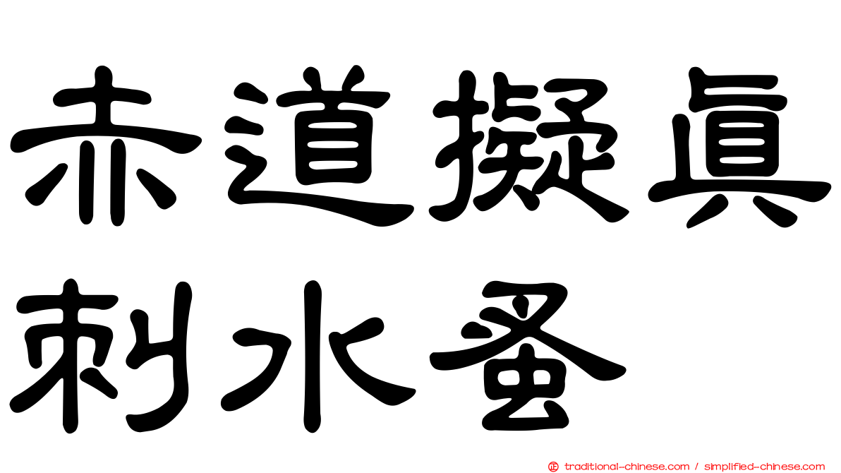 赤道擬真刺水蚤