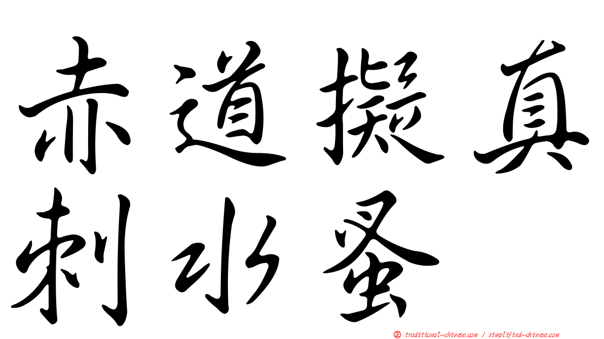 赤道擬真刺水蚤