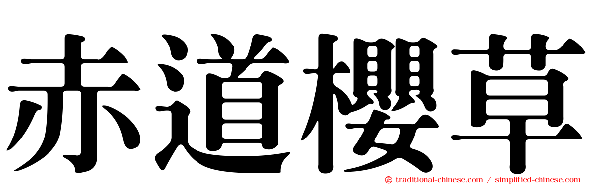 赤道櫻草