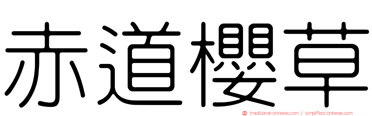 赤道櫻草