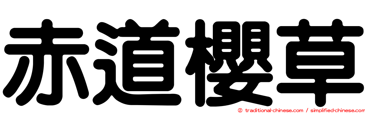 赤道櫻草