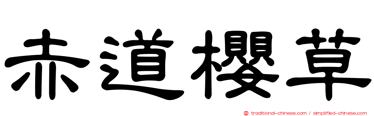 赤道櫻草
