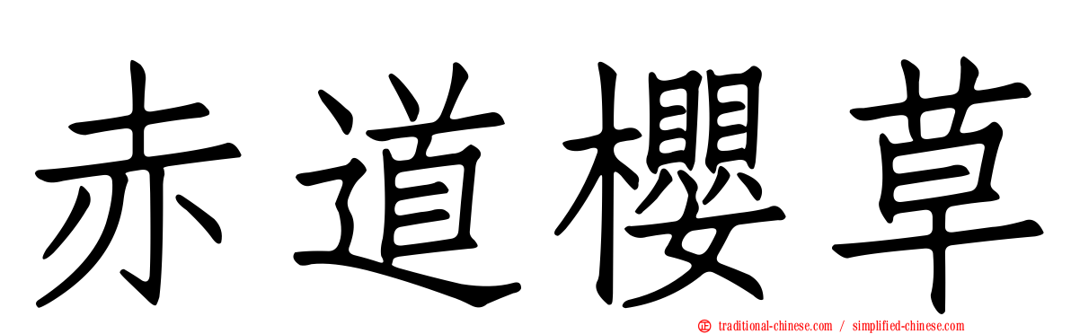 赤道櫻草