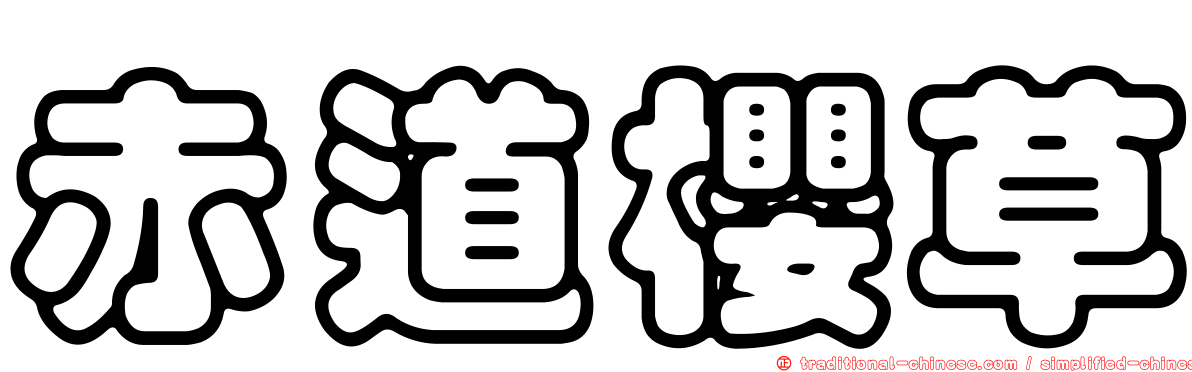 赤道櫻草