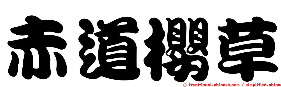 赤道櫻草