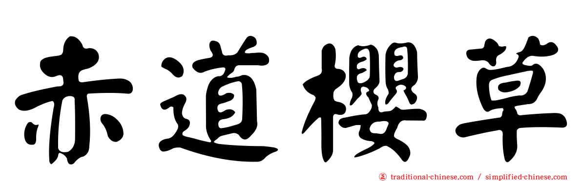 赤道櫻草