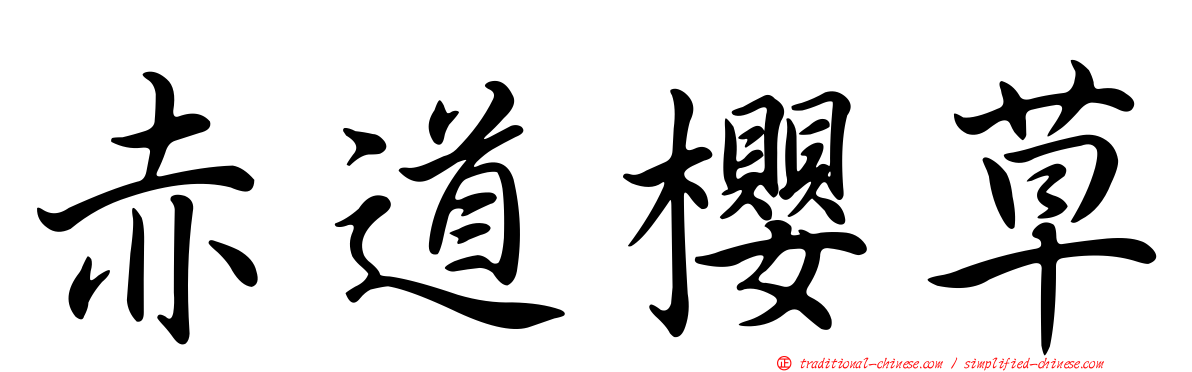 赤道櫻草