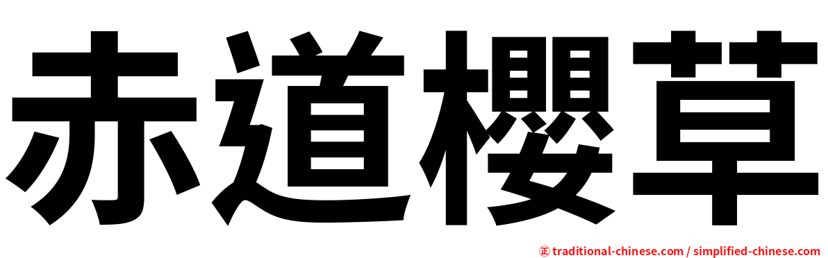 赤道櫻草