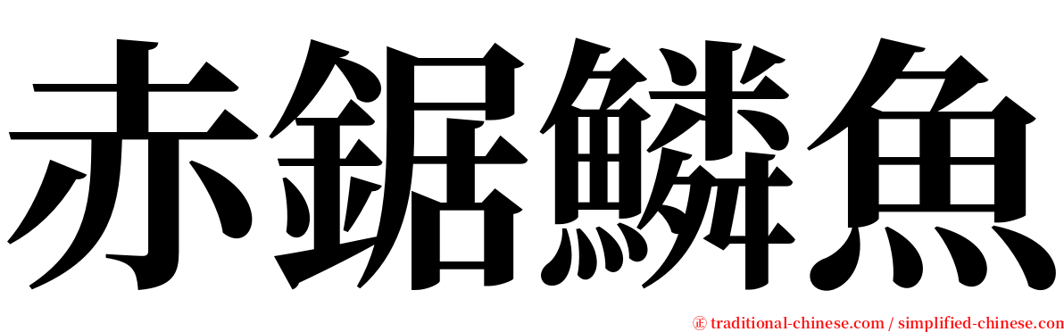 赤鋸鱗魚 serif font