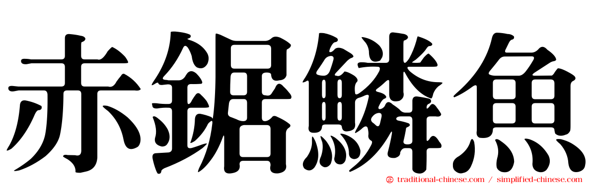 赤鋸鱗魚