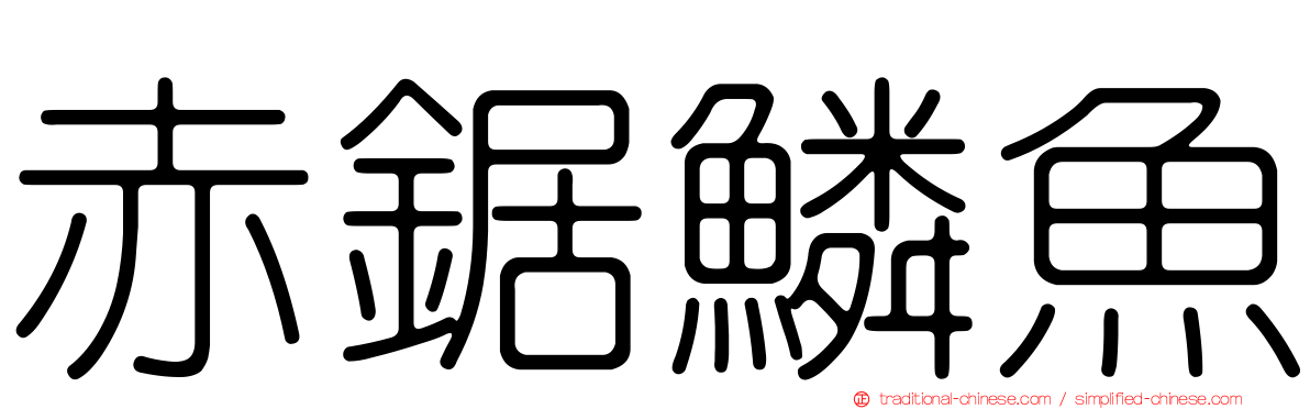 赤鋸鱗魚