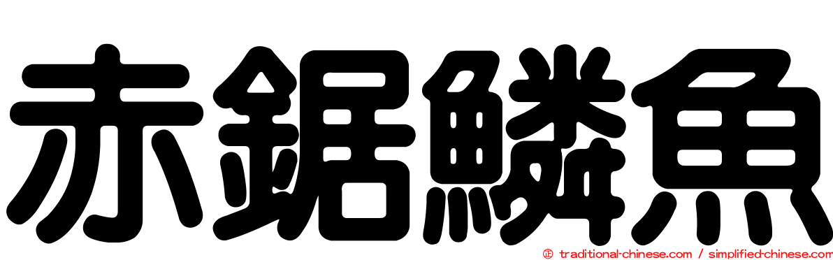 赤鋸鱗魚