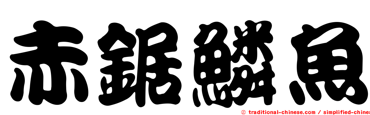 赤鋸鱗魚