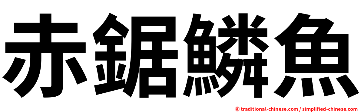 赤鋸鱗魚
